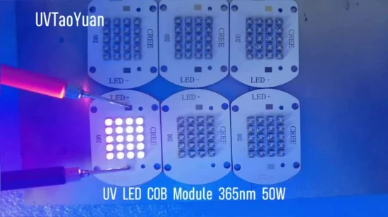 50 W UV-COB blauer LED-Chip 455